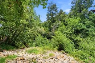 265 Brown Gables Rd 32, Ben Lomond, CA 95005 - Photo 34