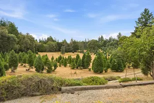 630 Timberline, Los Gatos, CA 95033 - Photo 42