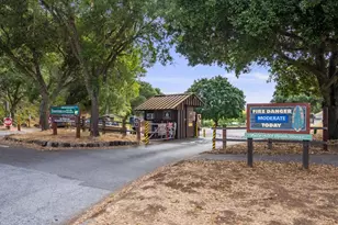 315 W Portola Ave, Los Altos, CA 94022 - Photo 36