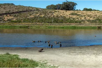 101 Shell Dr 172, Watsonville, CA 95076 - Photo 14