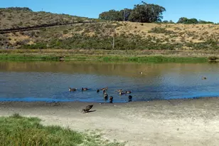 101 Shell Dr 172, Watsonville, CA 95076 - Photo 14