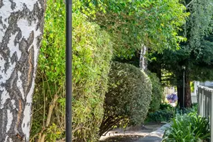 4259 Sea Pines Ct, Capitola, CA 95010 - Photo 40