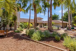 16 Kite Hill Rd, Santa Cruz, CA 95060 - Photo 74