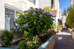 2559 Park Blvd M101, Palo Alto, CA 94306 - Photo 30