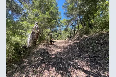 0 Deer Creek (Lot 21) Rd, Boulder Creek, CA 95006 - Photo 16