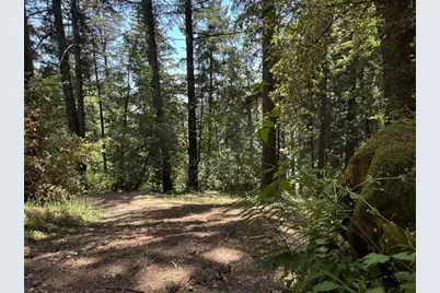 19179 Skyline Blvd, Los Gatos, CA 95033 - Photo 18