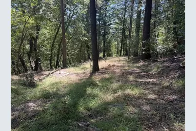 19179 Skyline Blvd, Los Gatos, CA 95033 - Photo 8