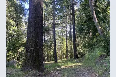 19179 Skyline Blvd, Los Gatos, CA 95033 - Photo 14