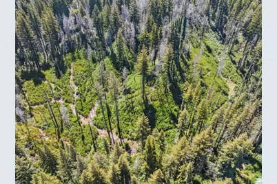Lot 03 &amp; 06 Branson Rnch, Boulder Creek, CA 95006 - Photo 24