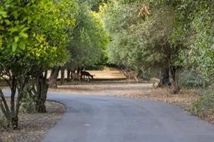 12401 Merriman Ln, Gilroy, CA 95020 - Photo 48