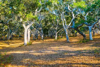 2 Corral Run, Carmel, CA 93923 - Photo 8