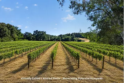 1195 Partrick Rd, Napa, CA 94558 - Photo 90