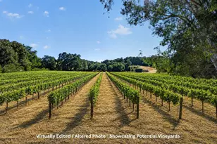 1195 Partrick Rd, Napa, CA 94558 - Photo 90