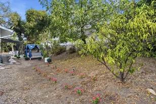 4334 Cowell Rd, Concord, CA 94518 - Photo 38