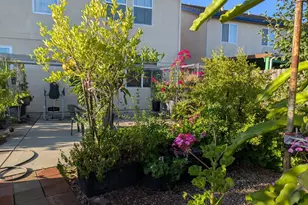 2517 Jayden Way, Stockton, CA 95212 - Photo 22