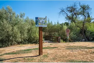 38966 Gar Ter, Fremont, CA 94536 - Photo 48