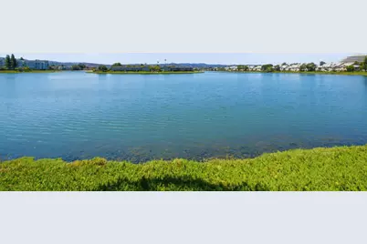 815 Sea Spray Ln 217, Foster City, CA 94404 - Photo 48