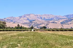 9265 Fairview Rd Parcel 2, Hollister, CA 95023 - Photo 8