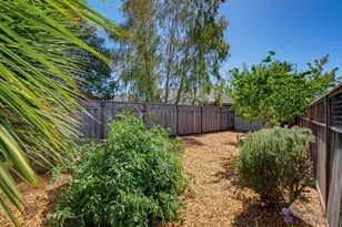 317 Centennial St, Santa Cruz, CA 95060 - Photo 40