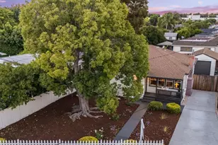 781 Ivy Dr, Menlo Park, CA 94025 - Photo 38