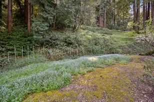 188 Martinez Rd, Woodside, CA 94062 - Photo 22