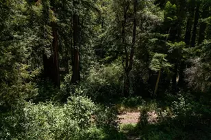 471 Country Estates Terrace, Santa Cruz, CA 95060 - Photo 32