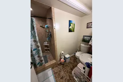 2440 Poplar Dr, San Jose, CA 95122 - Photo 20