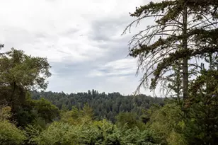 23502 Skyview Terrace, Los Gatos, CA 95033 - Photo 42