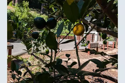 18131 June Ct, Los Gatos, CA 95033 - Photo 52