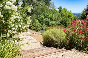 1095 Wilderfield, Los Gatos, CA 95033 - Photo 44