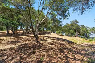 75 Skylark Ln, Watsonville, CA 95076 - Photo 78