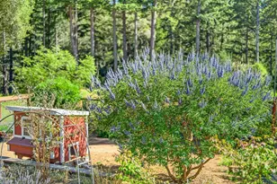 310 Winter Creek Rd, Santa Cruz, CA 95060 - Photo 46