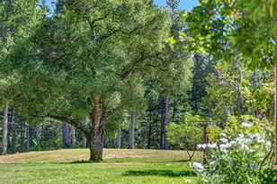 310 Winter Creek Rd, Santa Cruz, CA 95060 - Photo 52