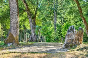 310 Winter Creek Rd, Santa Cruz, CA 95060 - Photo 46