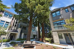316 Scarlett Terrace, Mountain View, CA 94043 - Photo 4