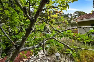 47 Buffalo Ct, Pacifica, CA 94044 - Photo 38