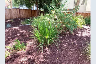 1672 Branham Park Pl, San Jose, CA 95118 - Photo 24