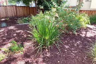 1672 Branham Park Pl, San Jose, CA 95118 - Photo 24