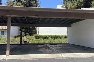 2201 Monroe 502, Santa Clara, CA 95050 - Photo 8