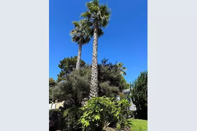 133 Piccadilly Pl H, San Bruno, CA 94066 - Photo 42