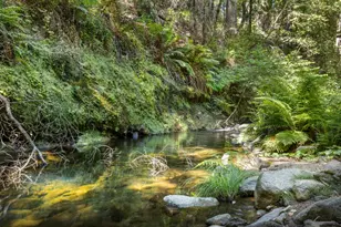 14515 Big Basin Wy, Boulder Creek, CA 95006 - Photo 38