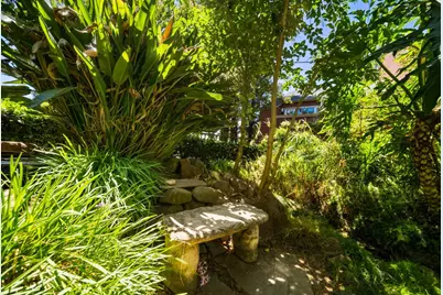 872 Catkin Ct, San Jose, CA 95128 - Photo 56