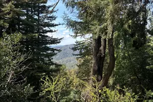 50 Old Orchard Rd, Los Gatos, CA 95033 - Photo 44