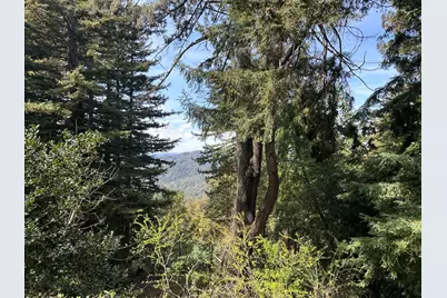 50 Old Orchard Rd, Los Gatos, CA 95033 - Photo 46