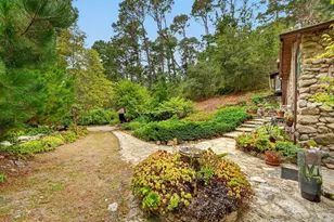 123 Fern Canyon Rd, Carmel, CA 93923 - Photo 52