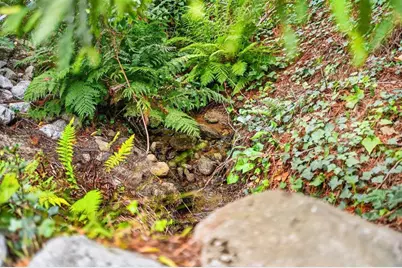 123 Fern Canyon Rd, Carmel, CA 93923 - Photo 58