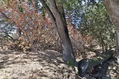 11705 Foothill Ave, Gilroy, CA 95020 - Photo 92
