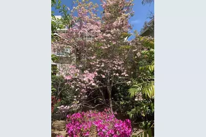 837 Cowper St, Palo Alto, CA 94301 - Photo 44