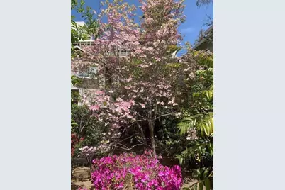 837 Cowper St, Palo Alto, CA 94301 - Photo 44