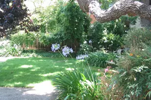837 Cowper St, Palo Alto, CA 94301 - Photo 30